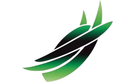 An Interactive Guide to Bowen Therapy Logo